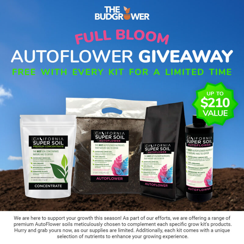 Full Bloom - AutoFlower Giveaway