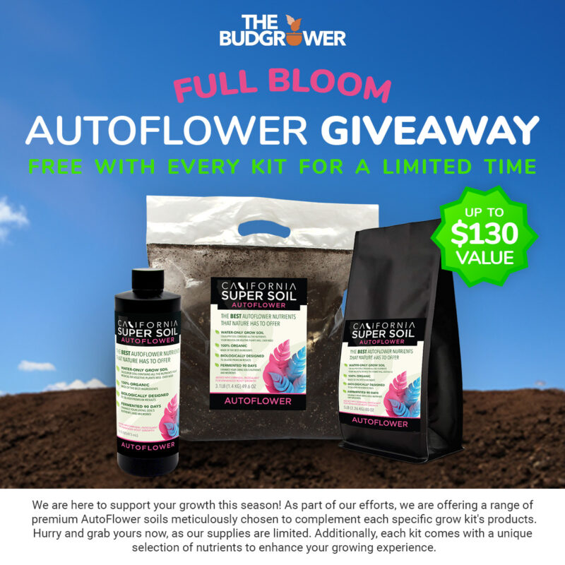 Full Bloom - AutoFlower Giveaway