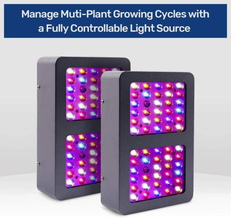 Manage Muti-Plant Growing Cycles with a Fully Controllable Light Source