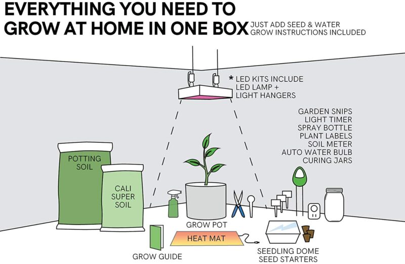 Everything You Need to Grow at Home in One Box