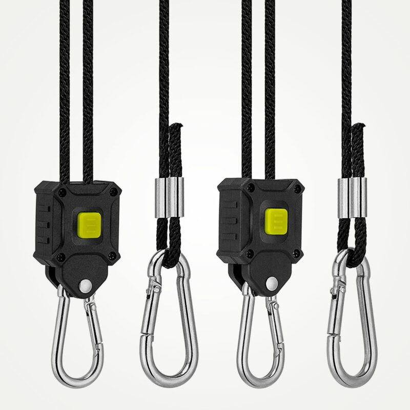 Clips