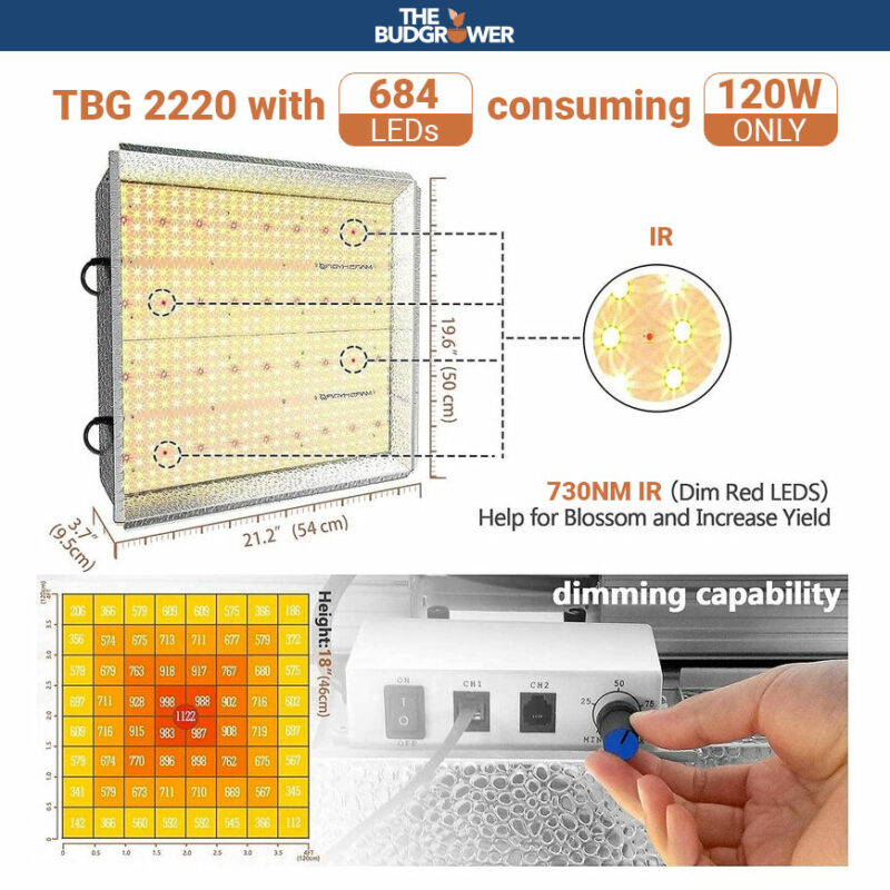 Light LED