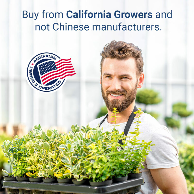 California Growers