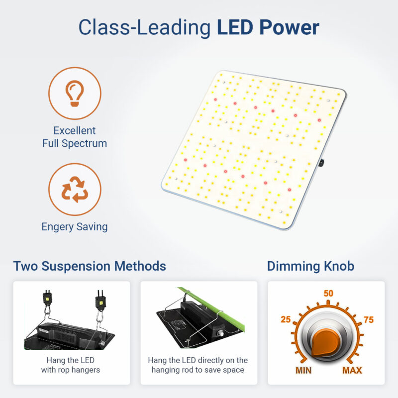 Class-Leading LED Power
