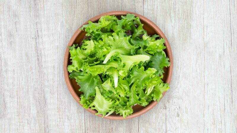 easiest vegetables