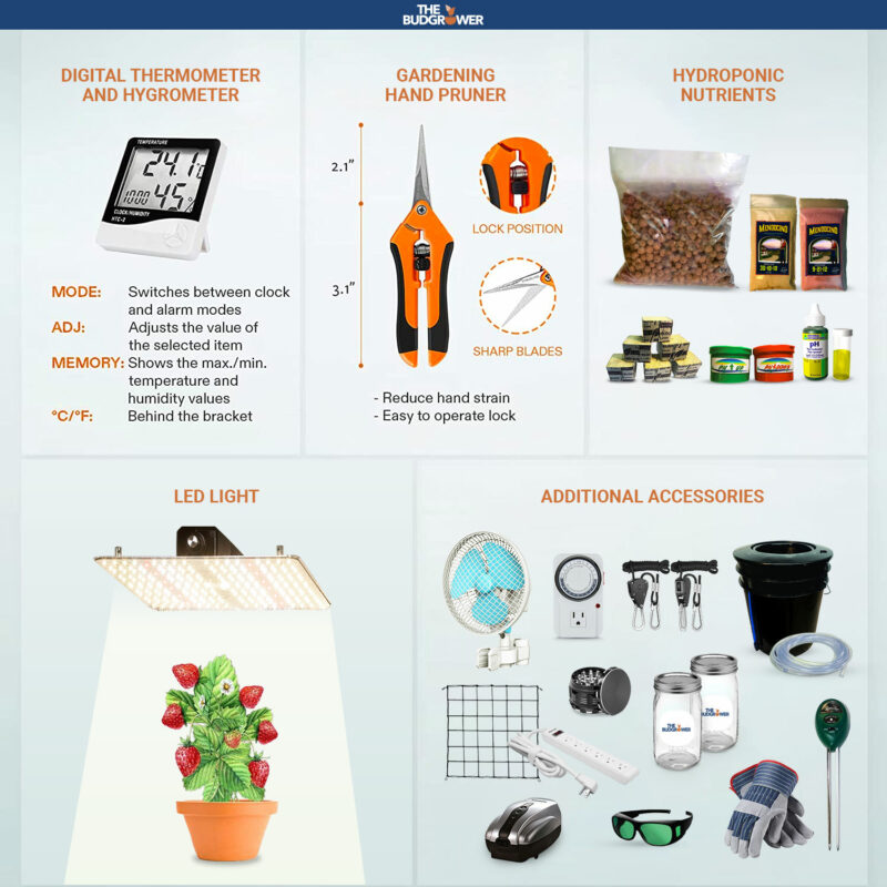 Accessories