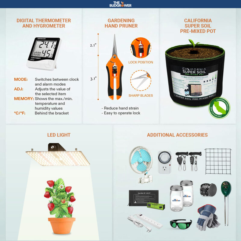 Accessories