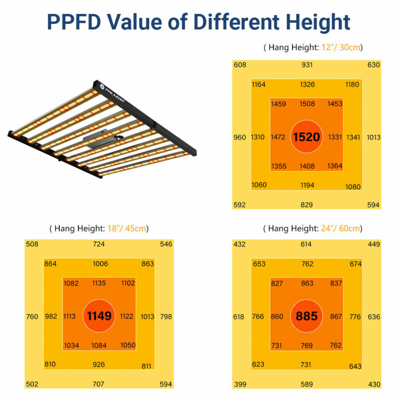 PPFD Value of Different Height