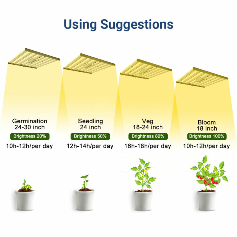 Using Suggestions