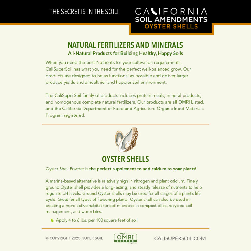 Oyster Shells back label