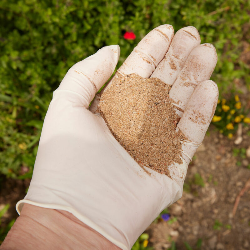 Bone Meal