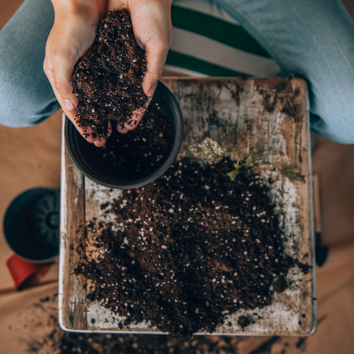 Soil