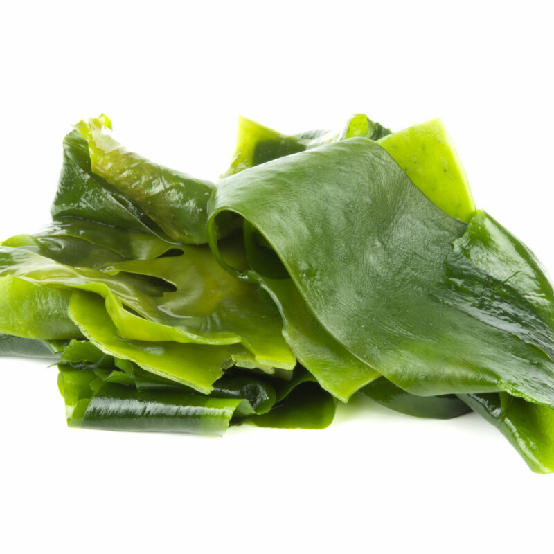 Kelp
