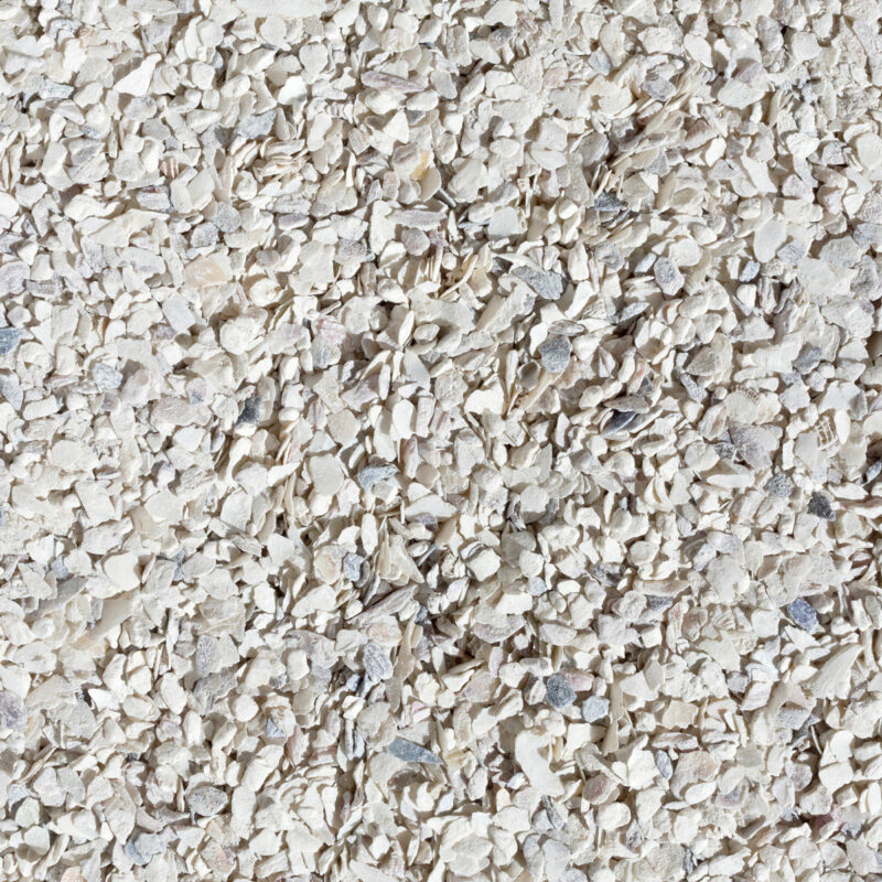 Oyster Shells