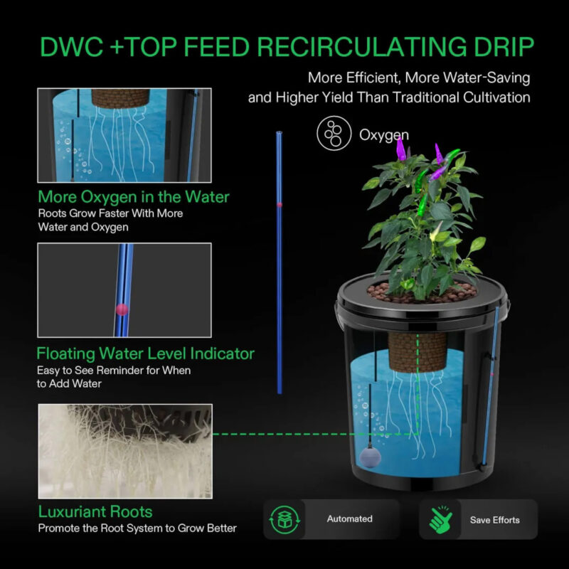 DWC + Top Feed Recirculation Drip